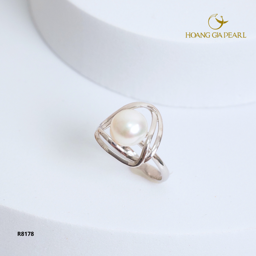 R8178
